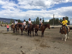 horseback riding